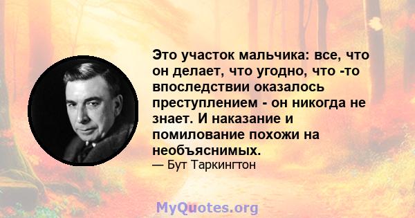 Это участок мальчика: все, что он делает, что угодно, что -то впоследствии оказалось преступлением - он никогда не знает. И наказание и помилование похожи на необъяснимых.