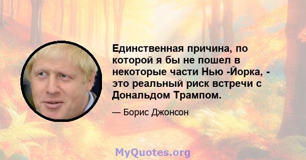 Единственная причина, по которой я бы не пошел в некоторые части Нью -Йорка, - это реальный риск встречи с Дональдом Трампом.