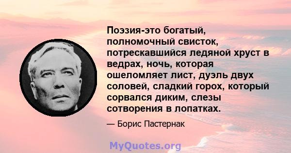 Поэзия-это богатый, полномочный свисток, потрескавшийся ледяной хруст в ведрах, ночь, которая ошеломляет лист, дуэль двух соловей, сладкий горох, который сорвался диким, слезы сотворения в лопатках.