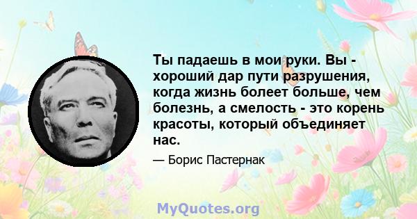 Ты падаешь в мои руки. Вы - хороший дар пути разрушения, когда жизнь болеет больше, чем болезнь, а смелость - это корень красоты, который объединяет нас.