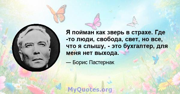 Я пойман как зверь в страхе. Где -то люди, свобода, свет, но все, что я слышу, - это бухгалтер, для меня нет выхода.