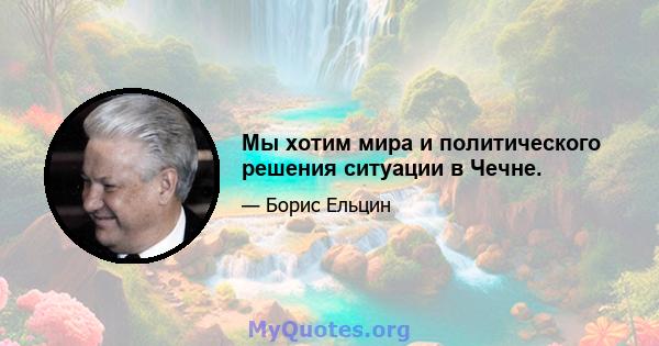 Мы хотим мира и политического решения ситуации в Чечне.