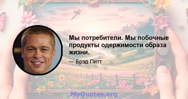 Мы потребители. Мы побочные продукты одержимости образа жизни.