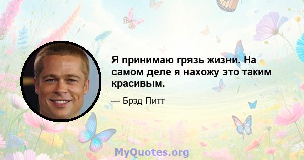 Я принимаю грязь жизни. На самом деле я нахожу это таким красивым.