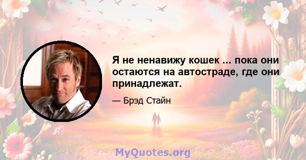 Я не ненавижу кошек ... пока они остаются на автостраде, где они принадлежат.