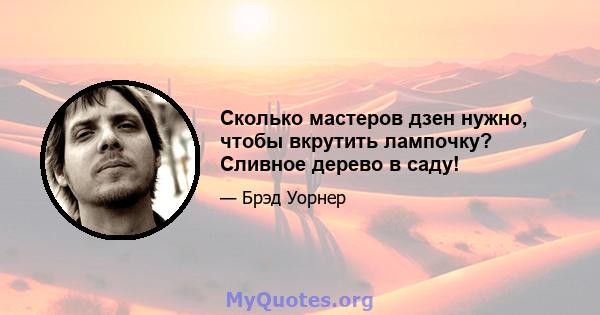 Сколько мастеров дзен нужно, чтобы вкрутить лампочку? Сливное дерево в саду!