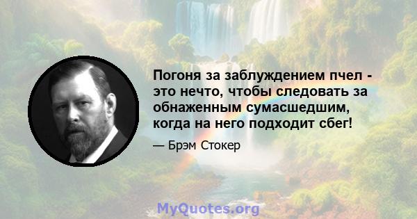 Погоня за заблуждением пчел - это нечто, чтобы следовать за обнаженным сумасшедшим, когда на него подходит сбег!