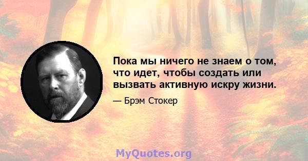 Пока мы ничего не знаем о том, что идет, чтобы создать или вызвать активную искру жизни.