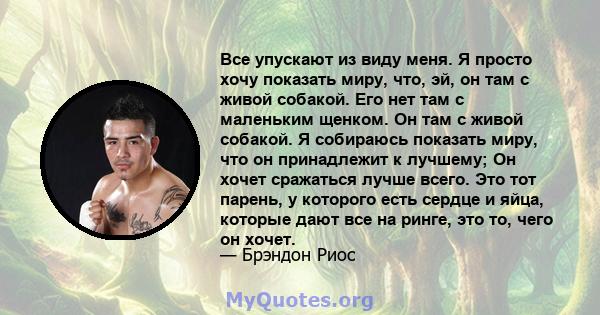 Все упускают из виду меня. Я просто хочу показать миру, что, эй, он там с живой собакой. Его нет там с маленьким щенком. Он там с живой собакой. Я собираюсь показать миру, что он принадлежит к лучшему; Он хочет