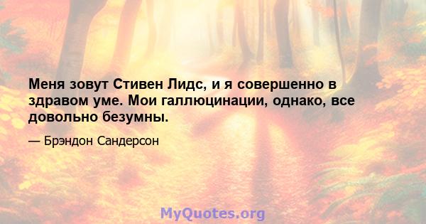 Меня зовут Стивен Лидс, и я совершенно в здравом уме. Мои галлюцинации, однако, все довольно безумны.