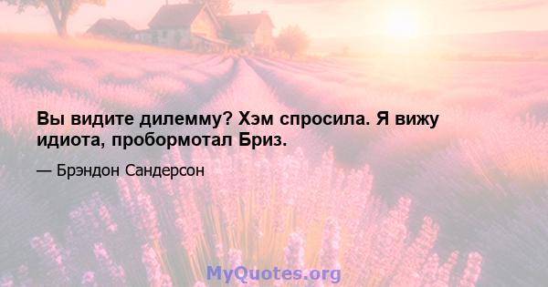 Вы видите дилемму? Хэм спросила. Я вижу идиота, пробормотал Бриз.