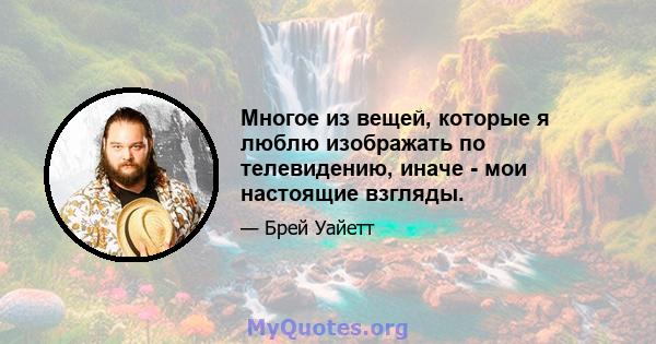 Многое из вещей, которые я люблю изображать по телевидению, иначе - мои настоящие взгляды.