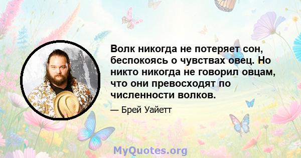 Волк никогда не потеряет сон, беспокоясь о чувствах овец. Но никто никогда не говорил овцам, что они превосходят по численности волков.