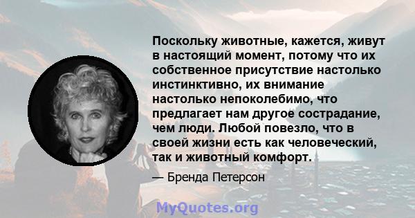 Поскольку животные, кажется, живут в настоящий момент, потому что их собственное присутствие настолько инстинктивно, их внимание настолько непоколебимо, что предлагает нам другое сострадание, чем люди. Любой повезло,