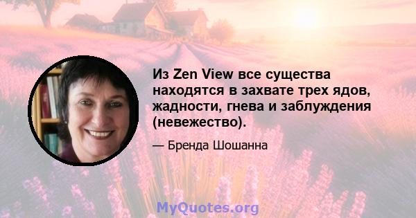 Из Zen View все существа находятся в захвате трех ядов, жадности, гнева и заблуждения (невежество).