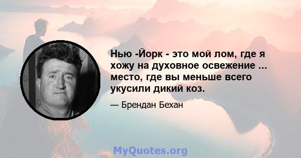 Нью -Йорк - это мой лом, где я хожу на духовное освежение ... место, где вы меньше всего укусили дикий коз.