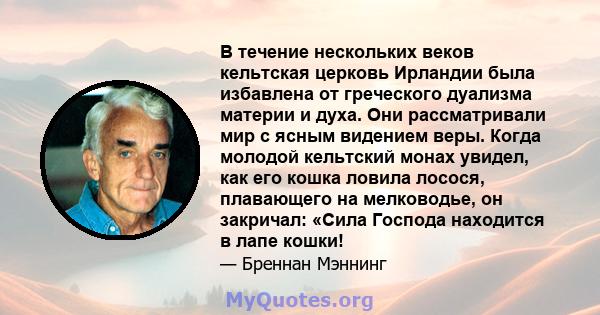 В течение нескольких веков кельтская церковь Ирландии была избавлена ​​от греческого дуализма материи и духа. Они рассматривали мир с ясным видением веры. Когда молодой кельтский монах увидел, как его кошка ловила