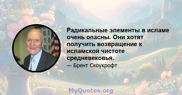 Радикальные элементы в исламе очень опасны. Они хотят получить возвращение к исламской чистоте средневековья.