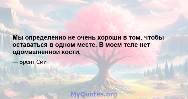 Мы определенно не очень хороши в том, чтобы оставаться в одном месте. В моем теле нет одомашненной кости.