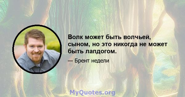 Волк может быть волчьей, сыном, но это никогда не может быть лапдогом.