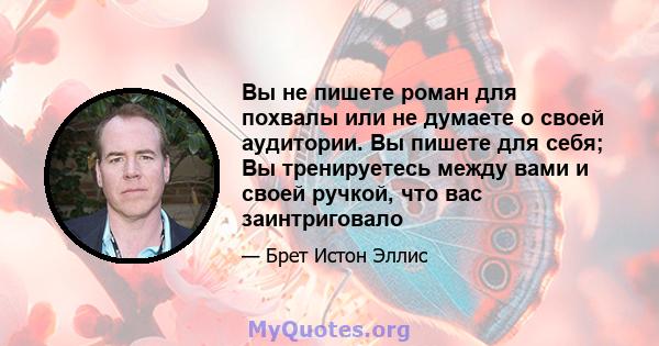 Вы не пишете роман для похвалы или не думаете о своей аудитории. Вы пишете для себя; Вы тренируетесь между вами и своей ручкой, что вас заинтриговало