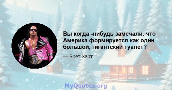 Вы когда -нибудь замечали, что Америка формируется как один большой, гигантский туалет?