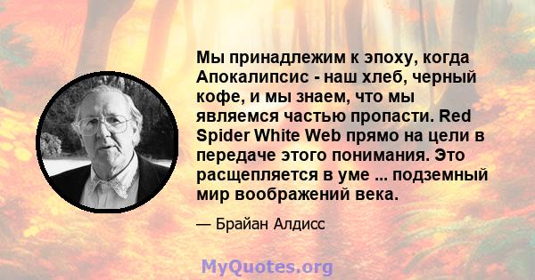 Мы принадлежим к эпоху, когда Апокалипсис - наш хлеб, черный кофе, и мы знаем, что мы являемся частью пропасти. Red Spider White Web прямо на цели в передаче этого понимания. Это расщепляется в уме ... подземный мир