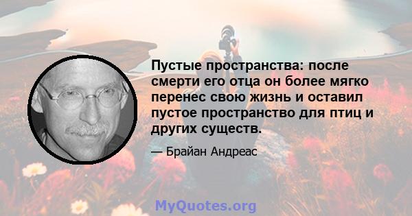 Пустые пространства: после смерти его отца он более мягко перенес свою жизнь и оставил пустое пространство для птиц и других существ.