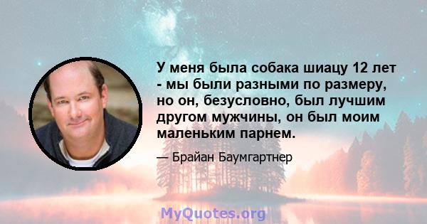 У меня была собака шиацу 12 лет - мы были разными по размеру, но он, безусловно, был лучшим другом мужчины, он был моим маленьким парнем.