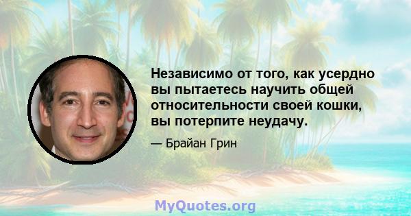 Независимо от того, как усердно вы пытаетесь научить общей относительности своей кошки, вы потерпите неудачу.