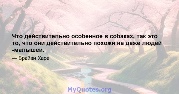 Что действительно особенное в собаках, так это то, что они действительно похожи на даже людей -малышей.