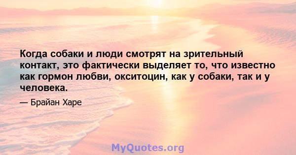 Когда собаки и люди смотрят на зрительный контакт, это фактически выделяет то, что известно как гормон любви, окситоцин, как у собаки, так и у человека.