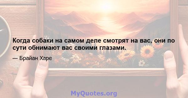 Когда собаки на самом деле смотрят на вас, они по сути обнимают вас своими глазами.