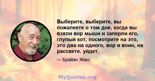 Выберите, выберите, вы пожалеете о том дне, когда вы взяли вор мыши и заперли его, глупый кот, посмотрите на это, это два на одного, вор и воин, на рассвете. уйдет.