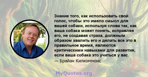 Знание того, как использовать свой голос, чтобы это имело смысл для вашей собаки, используя слова так, как ваша собака может понять, исправляя его, не создавая страха, должным образом хвалить его и делать все это в