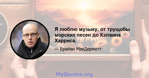 Я люблю музыку, от трущобы морских песен до Кэлвина Харриса.