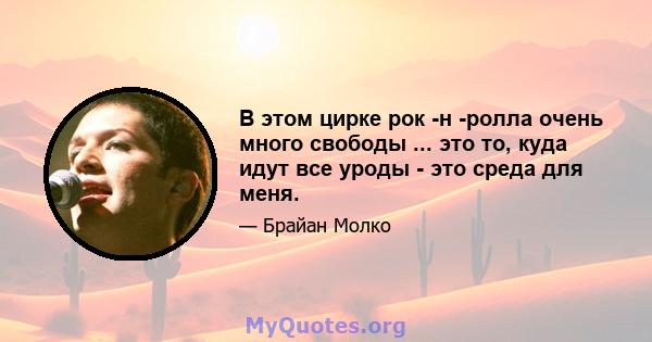 В этом цирке рок -н -ролла очень много свободы ... это то, куда идут все уроды - это среда для меня.