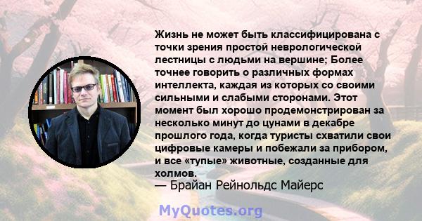 Жизнь не может быть классифицирована с точки зрения простой неврологической лестницы с людьми на вершине; Более точнее говорить о различных формах интеллекта, каждая из которых со своими сильными и слабыми сторонами.