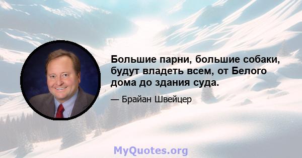 Большие парни, большие собаки, будут владеть всем, от Белого дома до здания суда.