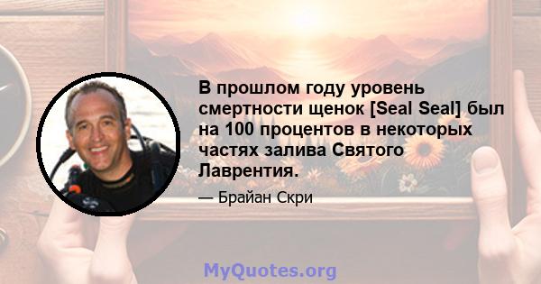 В прошлом году уровень смертности щенок [Seal Seal] был на 100 процентов в некоторых частях залива Святого Лаврентия.