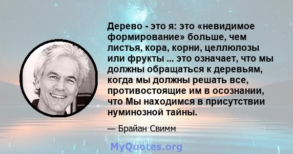 Дерево - это я: это «невидимое формирование» больше, чем листья, кора, корни, целлюлозы или фрукты ... это означает, что мы должны обращаться к деревьям, когда мы должны решать все, противостоящие им в осознании, что Мы 