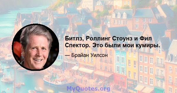 Битлз, Роллинг Стоунз и Фил Спектор. Это были мои кумиры.