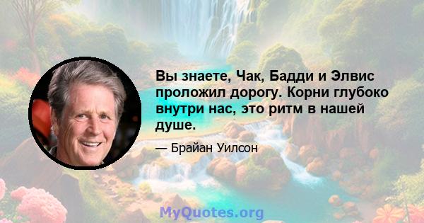 Вы знаете, Чак, Бадди и Элвис проложил дорогу. Корни глубоко внутри нас, это ритм в нашей душе.