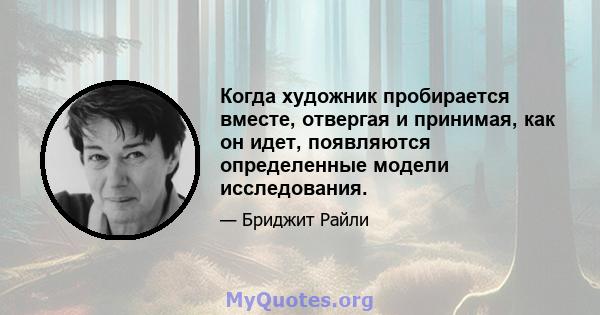 Когда художник пробирается вместе, отвергая и принимая, как он идет, появляются определенные модели исследования.