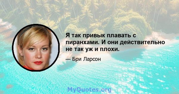 Я так привык плавать с пиранхами. И они действительно не так уж и плохи.