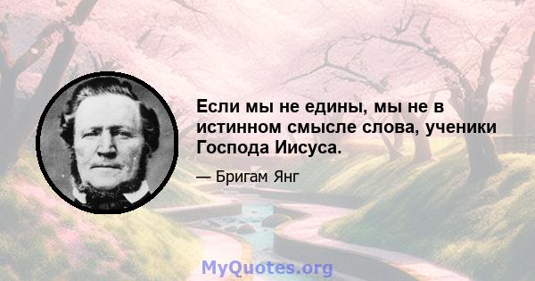 Если мы не едины, мы не в истинном смысле слова, ученики Господа Иисуса.