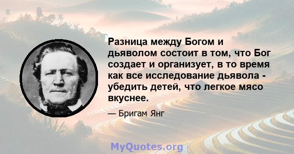 Разница между Богом и дьяволом состоит в том, что Бог создает и организует, в то время как все исследование дьявола - убедить детей, что легкое мясо вкуснее.