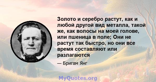 Золото и серебро растут, как и любой другой вид металла, такой же, как волосы на моей голове, или пшеница в поле; Они не растут так быстро, но они все время составляют или разлагаются