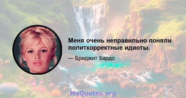 Меня очень неправильно поняли политкорректные идиоты.