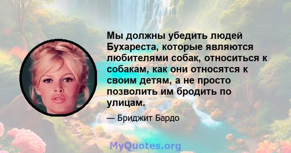 Мы должны убедить людей Бухареста, которые являются любителями собак, относиться к собакам, как они относятся к своим детям, а не просто позволить им бродить по улицам.